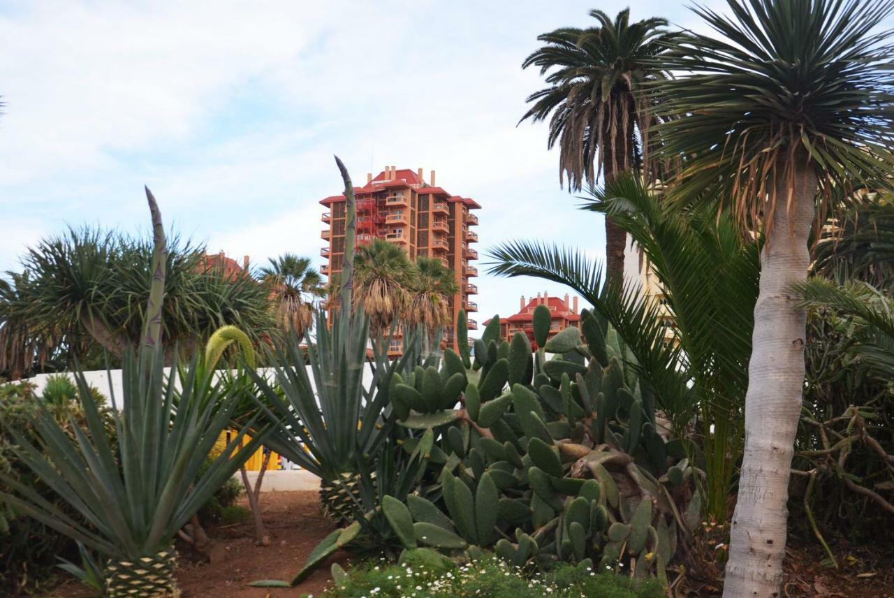 Sunshine Studio Puerto de la Cruz  Ngoại thất bức ảnh